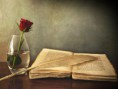 /album/kepgalleria/book-old-pen-table-vase-rose-red-jpg/