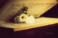 /album/kepgalleria/like-a-flower-by-thezgi-d3b16zq-jpg/